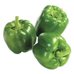 Large Green Bell Pepper